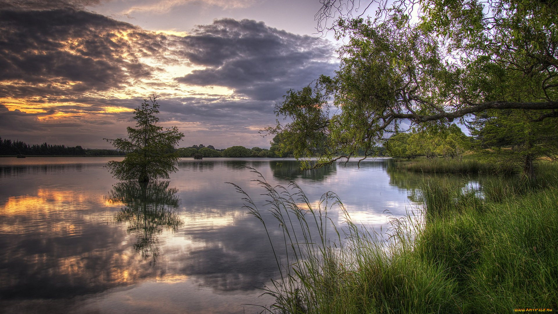 природа, реки, озера, простор