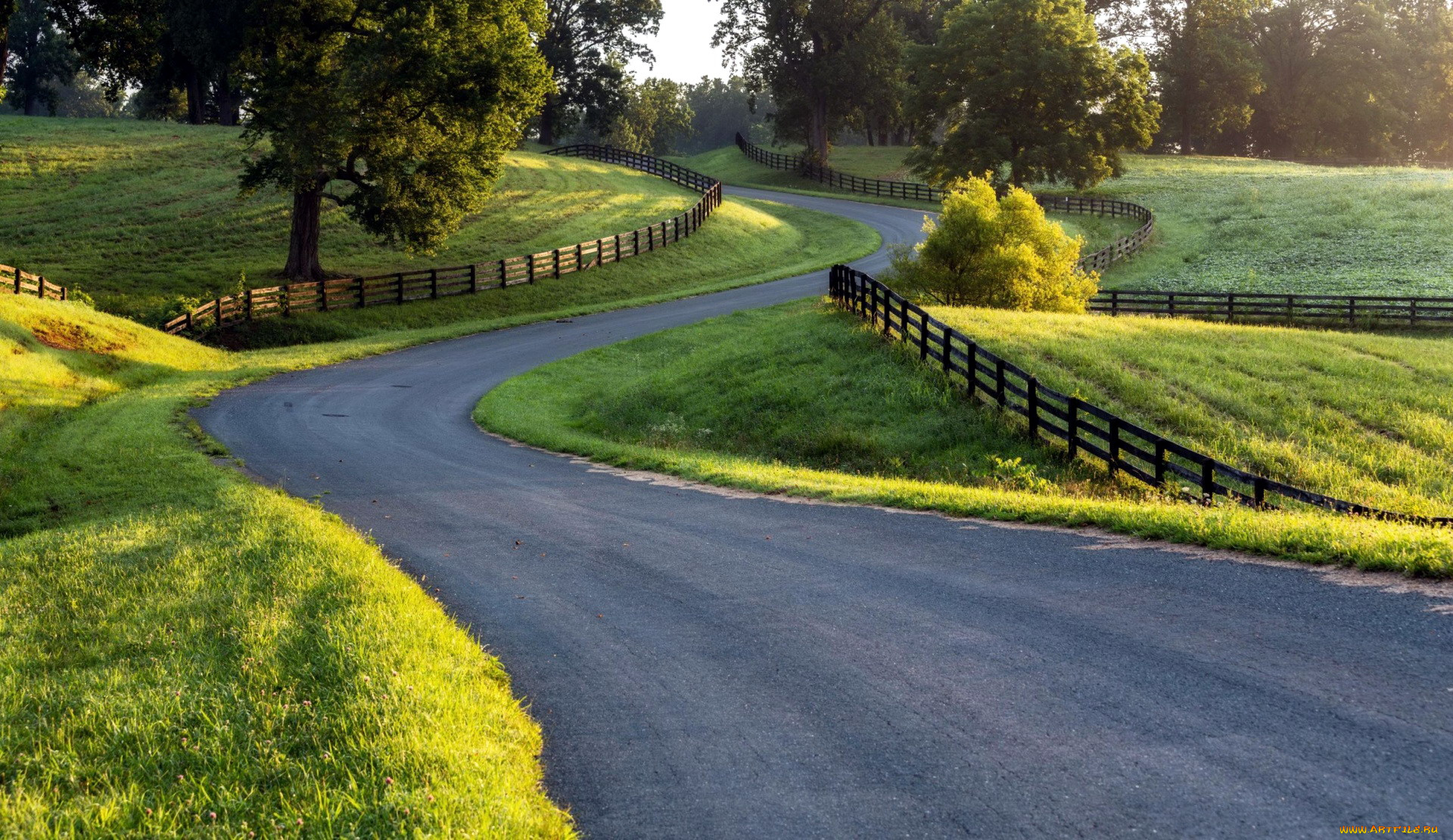 природа, дороги, шоссе, повороты