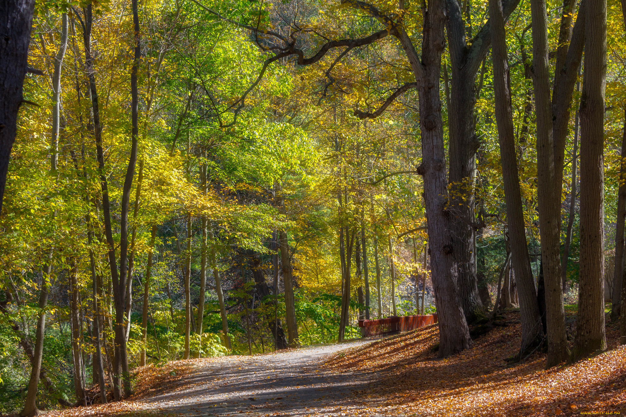 природа, дороги, простор