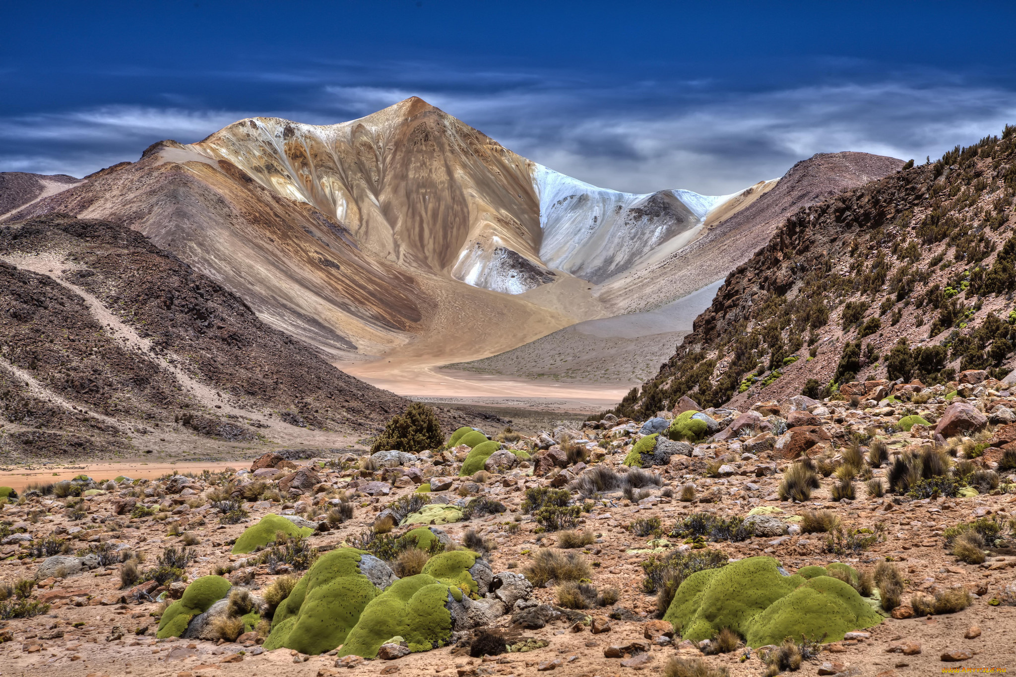 природа, пустыни, простор