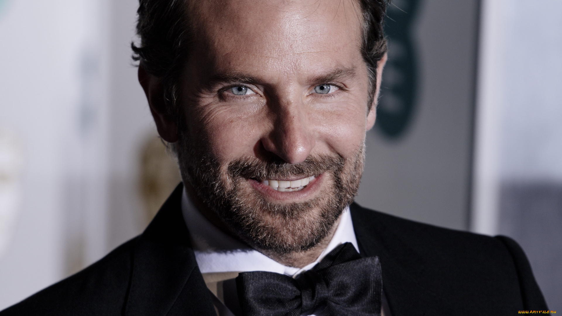 мужчины, bradley, cooper, актер, лицо, борода, улыбка, бабочка, костюм