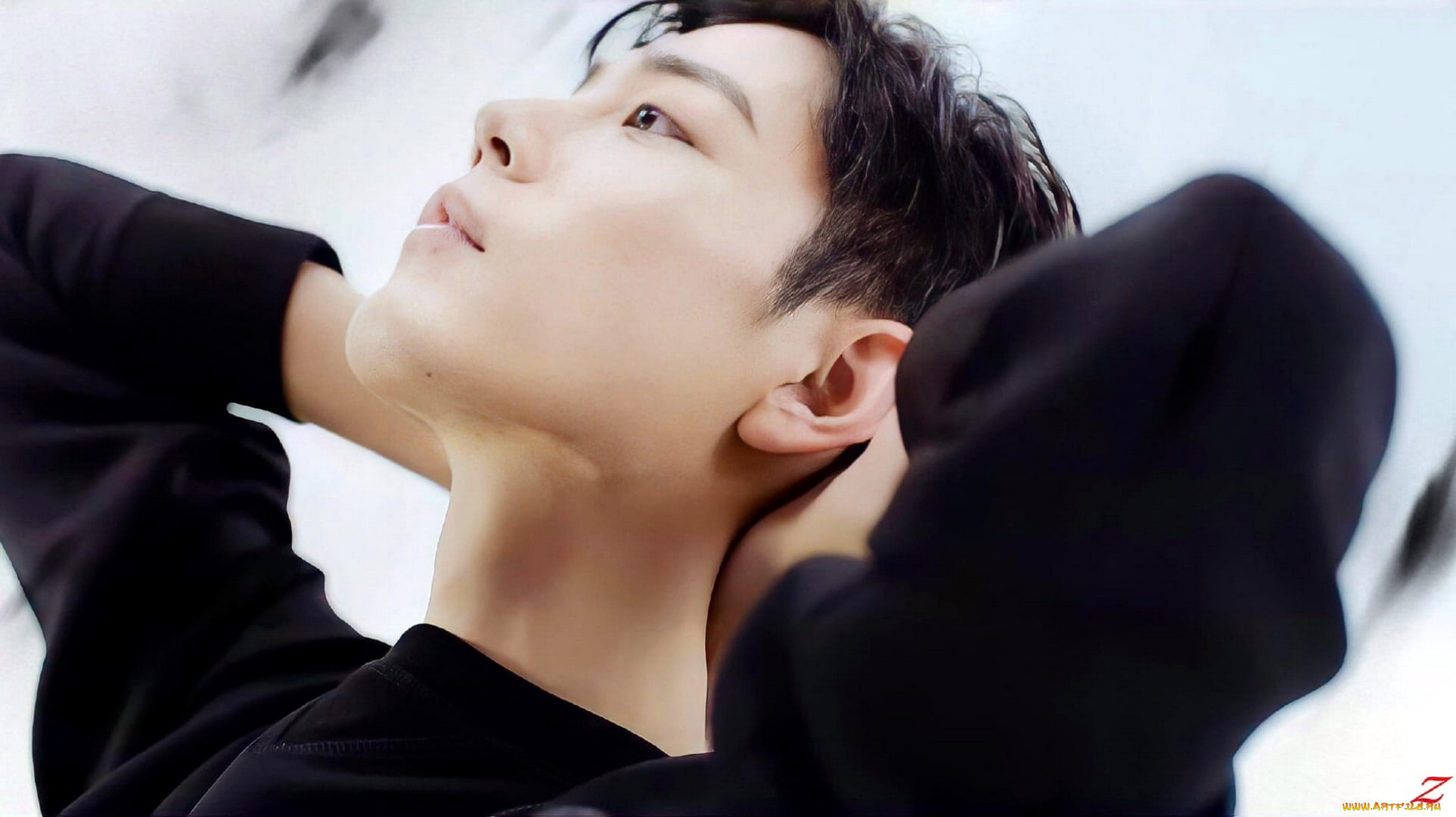 мужчины, xiao, zhan, актер, лицо, свитер