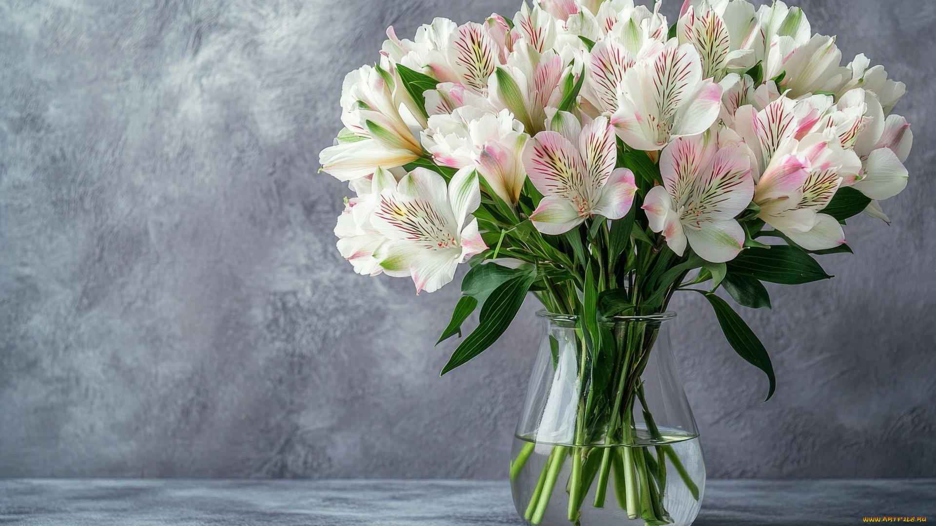 3д, графика, цветы, , flowers, альстромерия