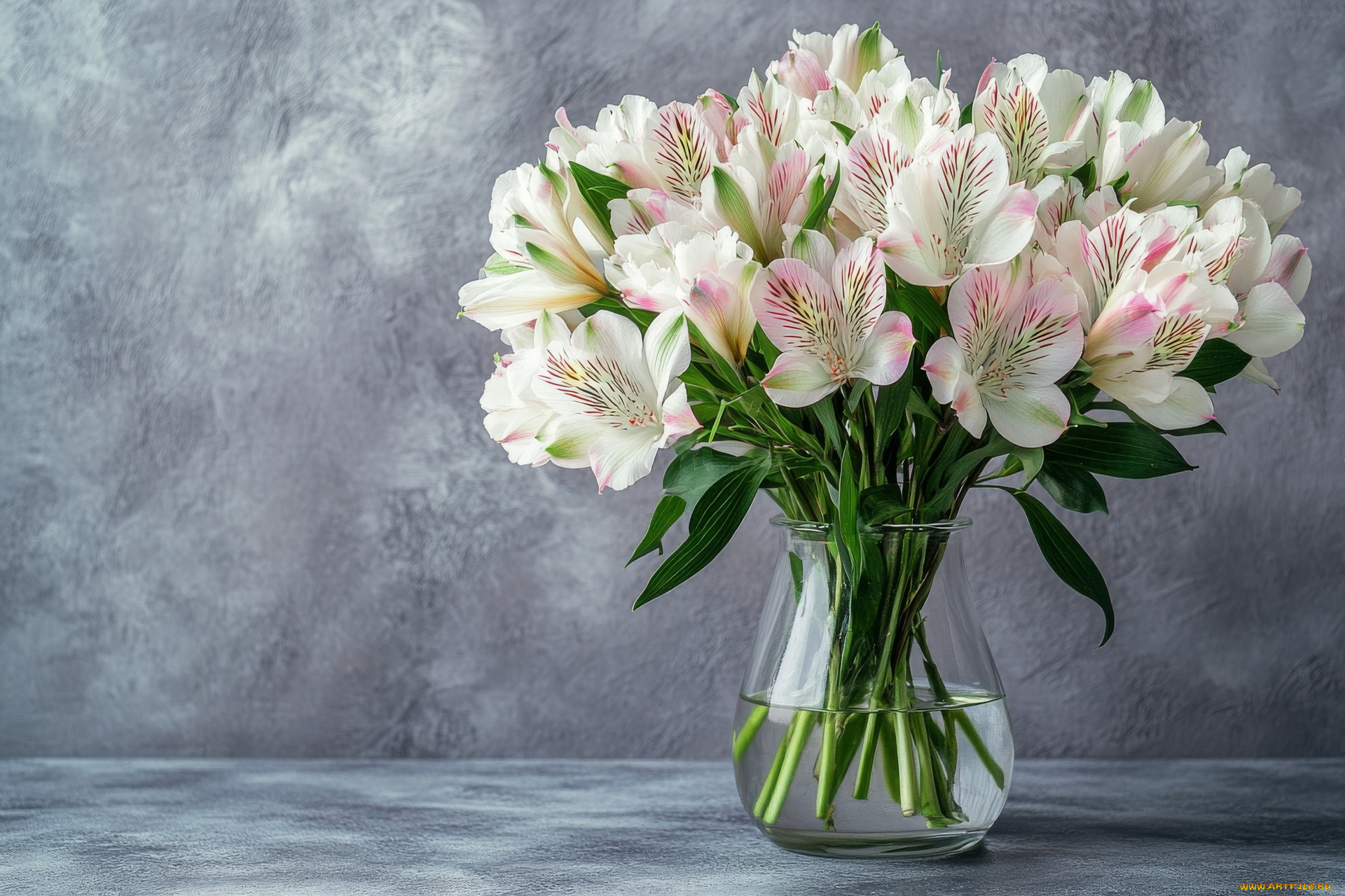 3д, графика, цветы, , flowers, альстромерия