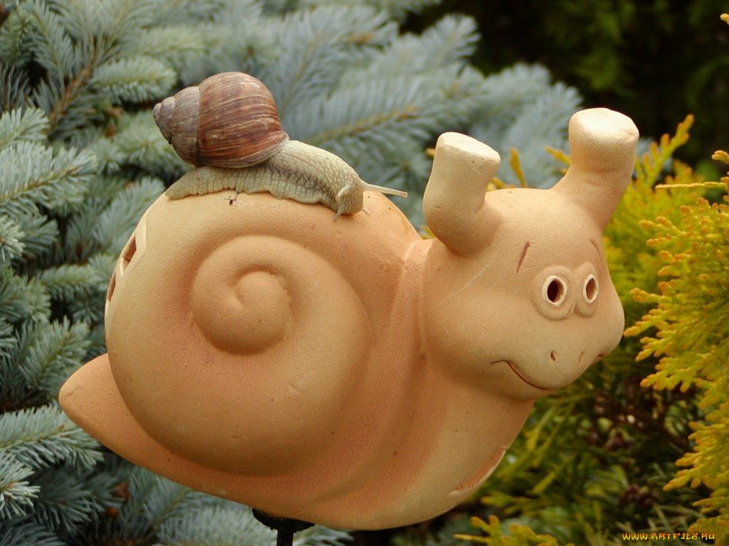 животные, улитки