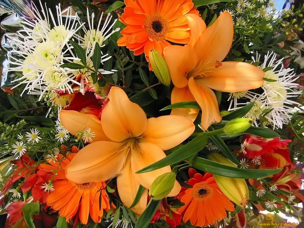 цветы, разные, вместе