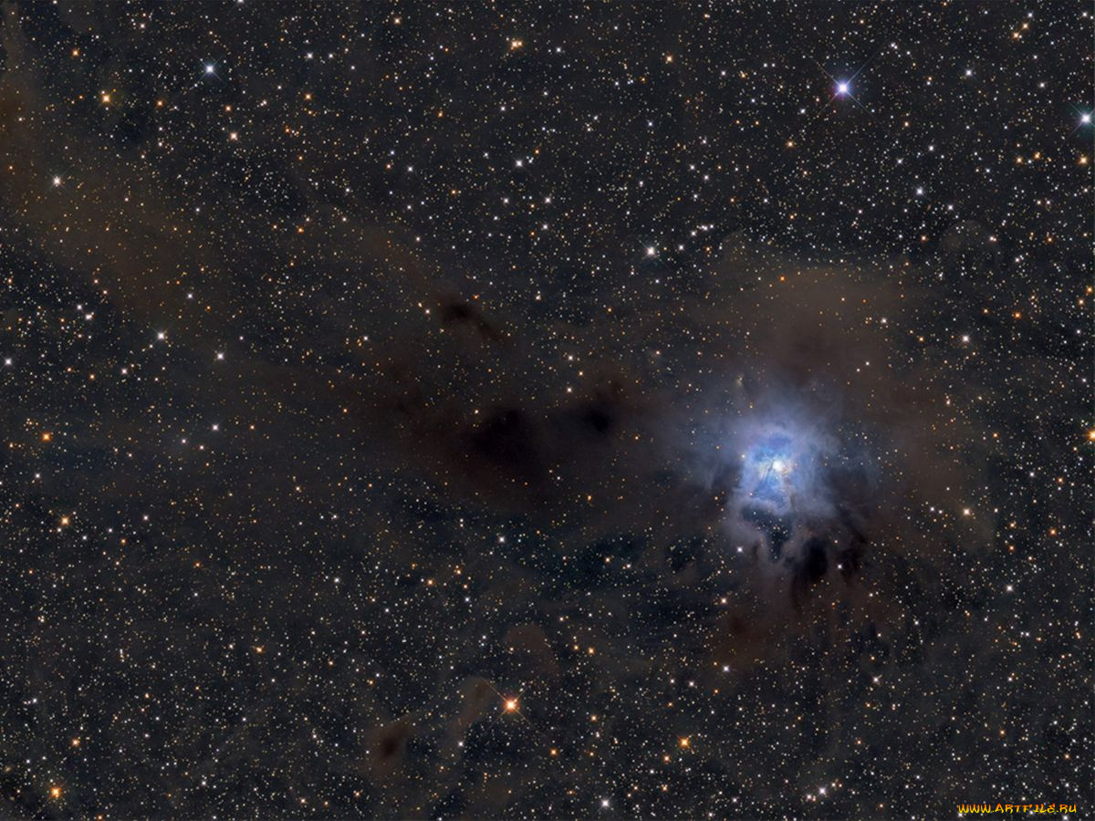 ngc, 7023, космос, галактики, туманности