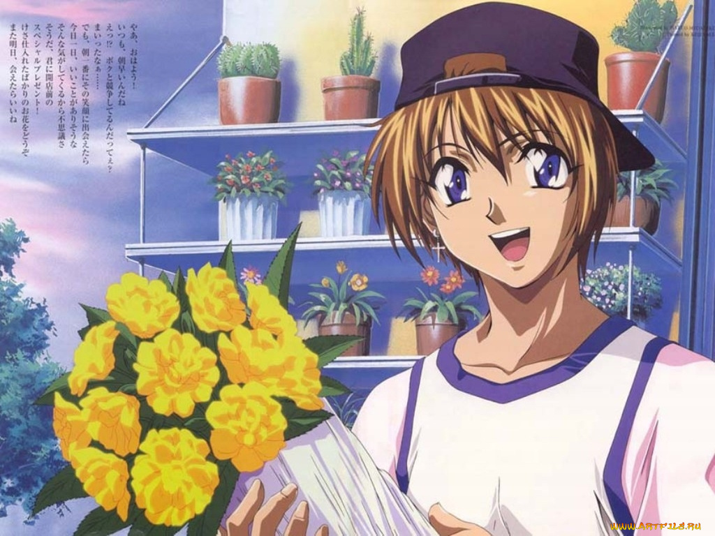 аниме, weiss, kreuz