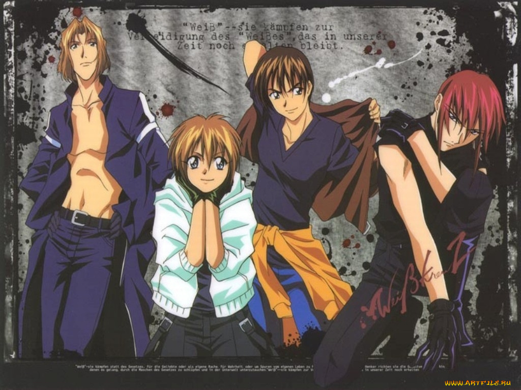аниме, weiss, kreuz