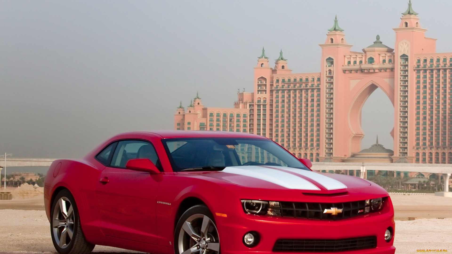 автомобили, camaro