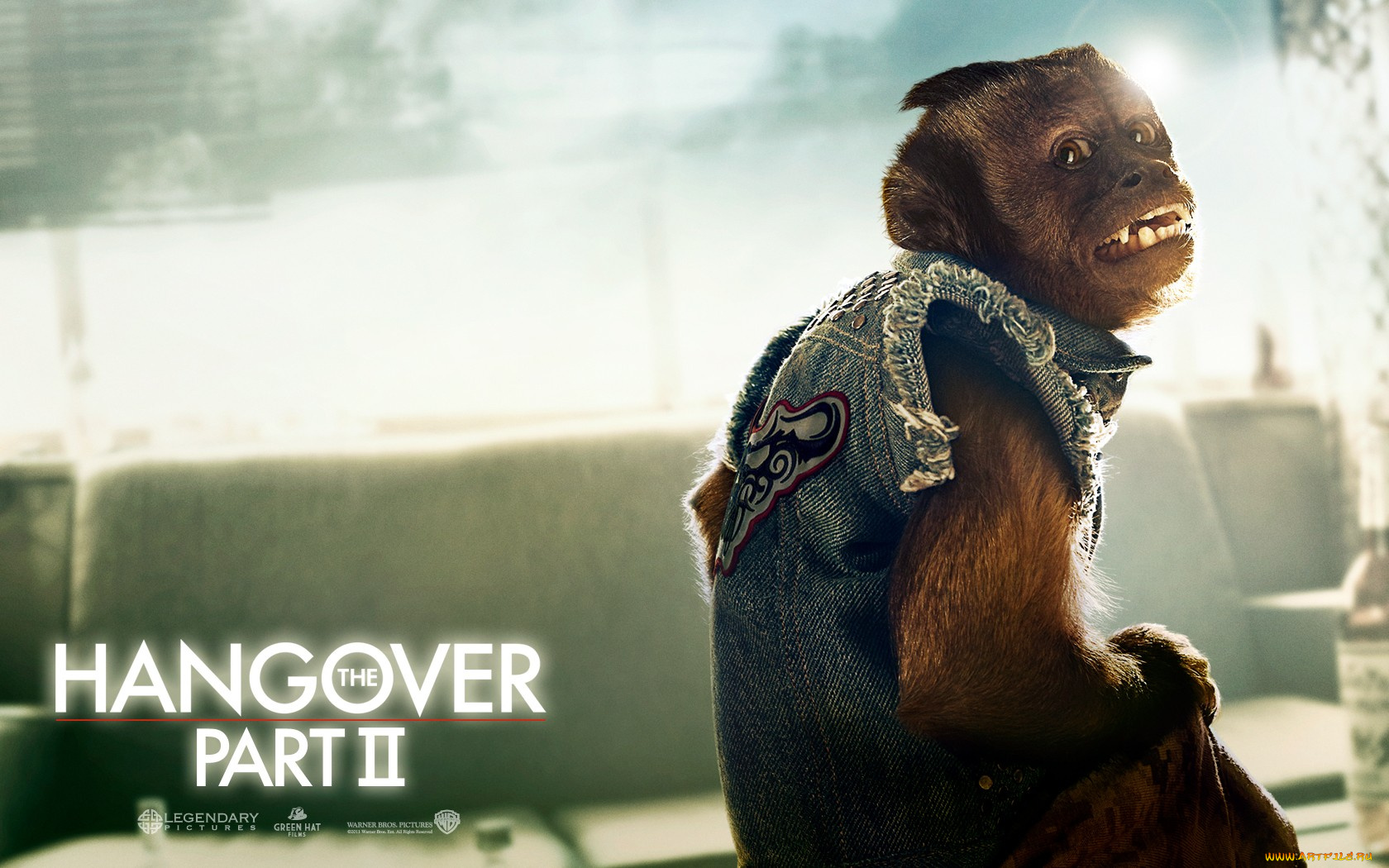 the, hangover, part, ii, кино, фильмы