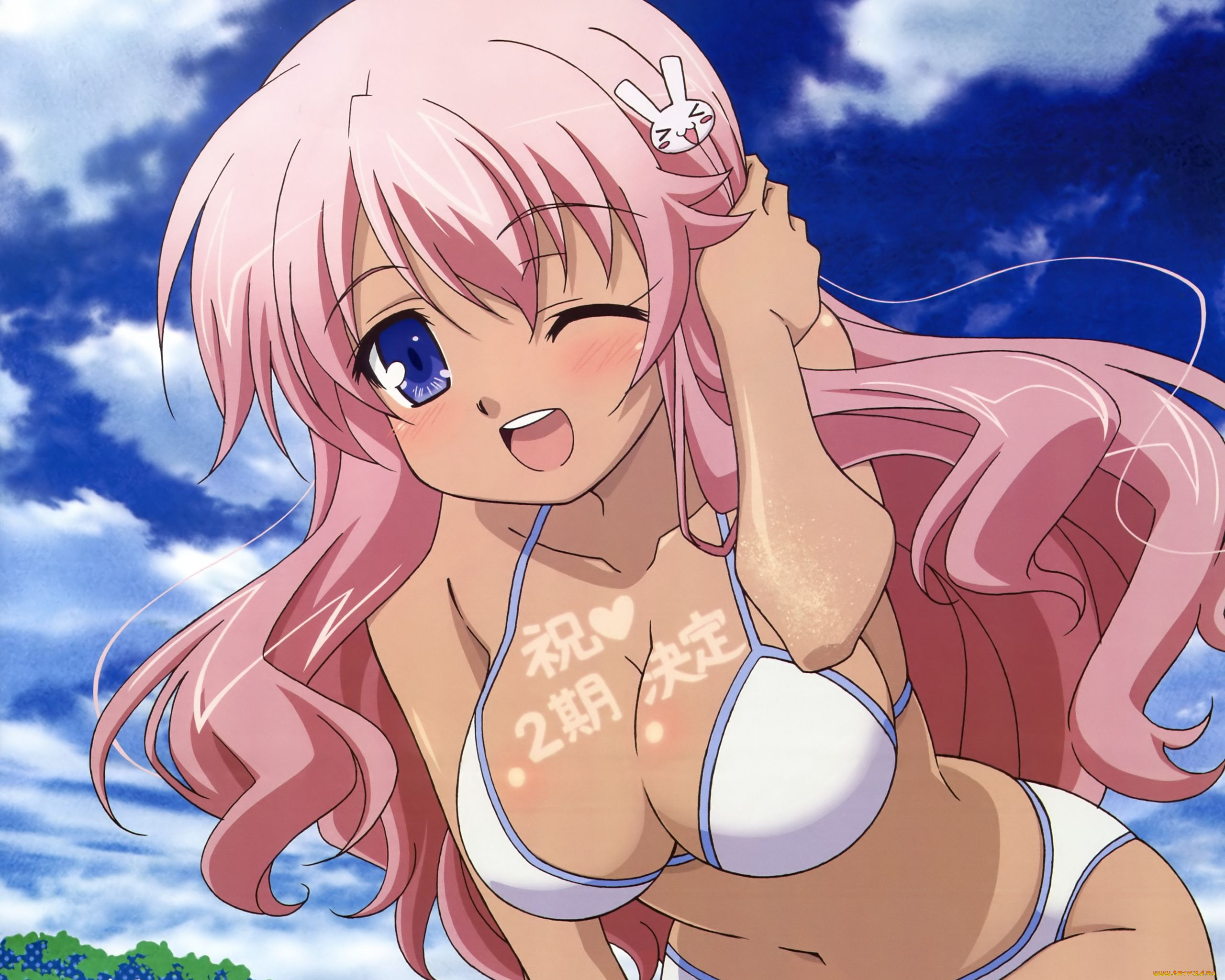 аниме, baka, to, test, shoukanjuu