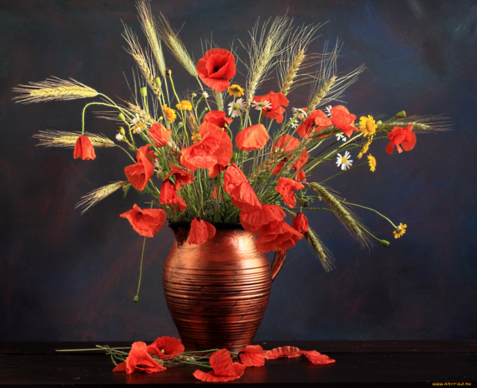 цветы, луговые, полевые, пшеница, ромашки, маки, кувшин