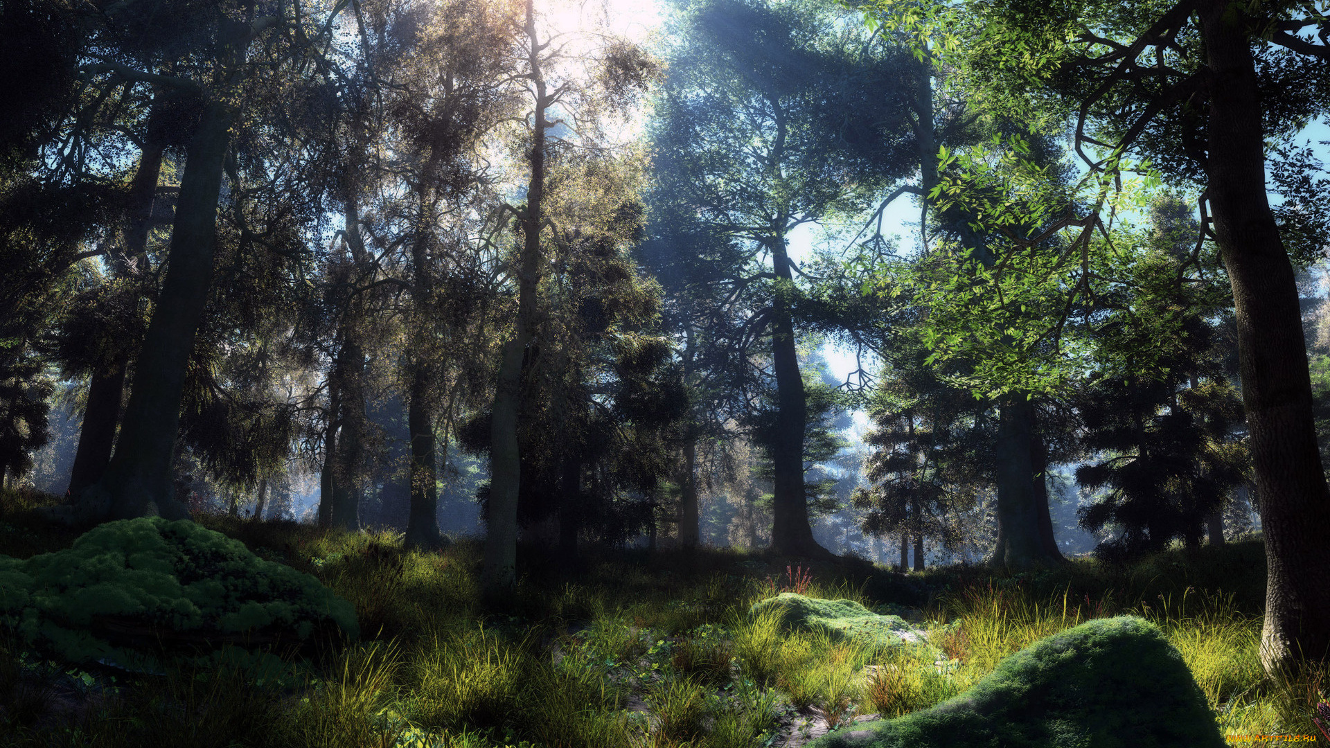 3д, графика, nature, landscape, природа, трава, деревья, лес