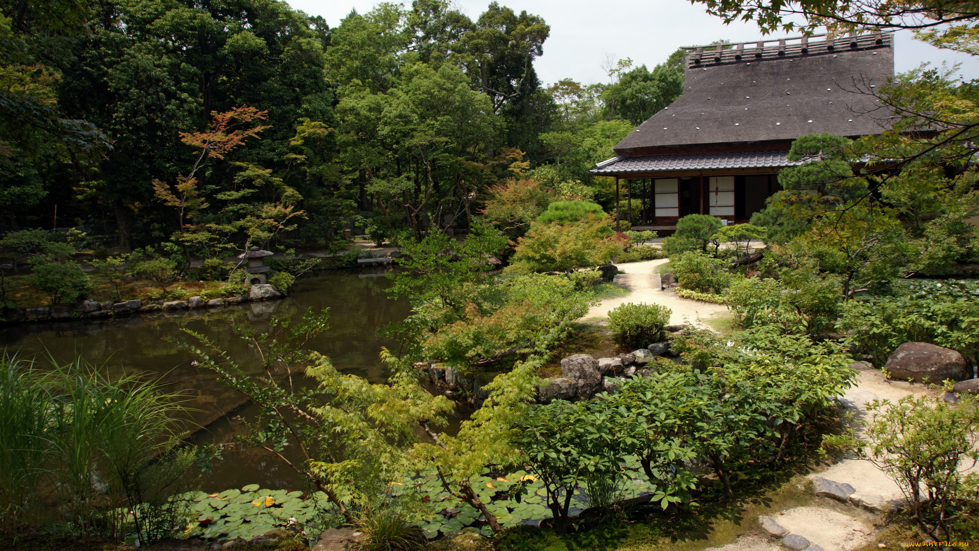 isuien, garden, nara, japan, природа, парк