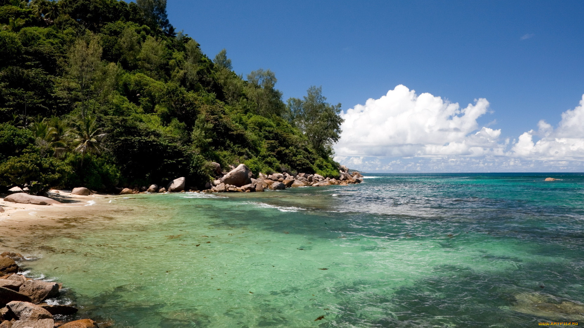 природа, побережье, растительность, пляж, бухта, море