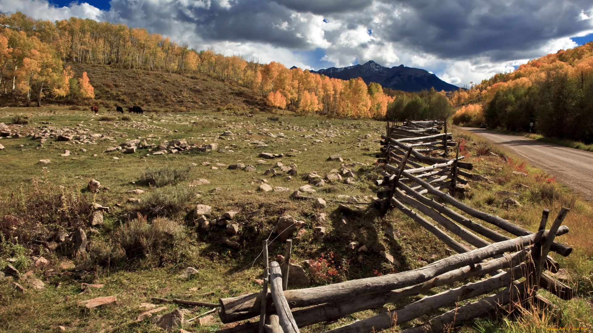 природа, поля, поле, дорога, забор, горы