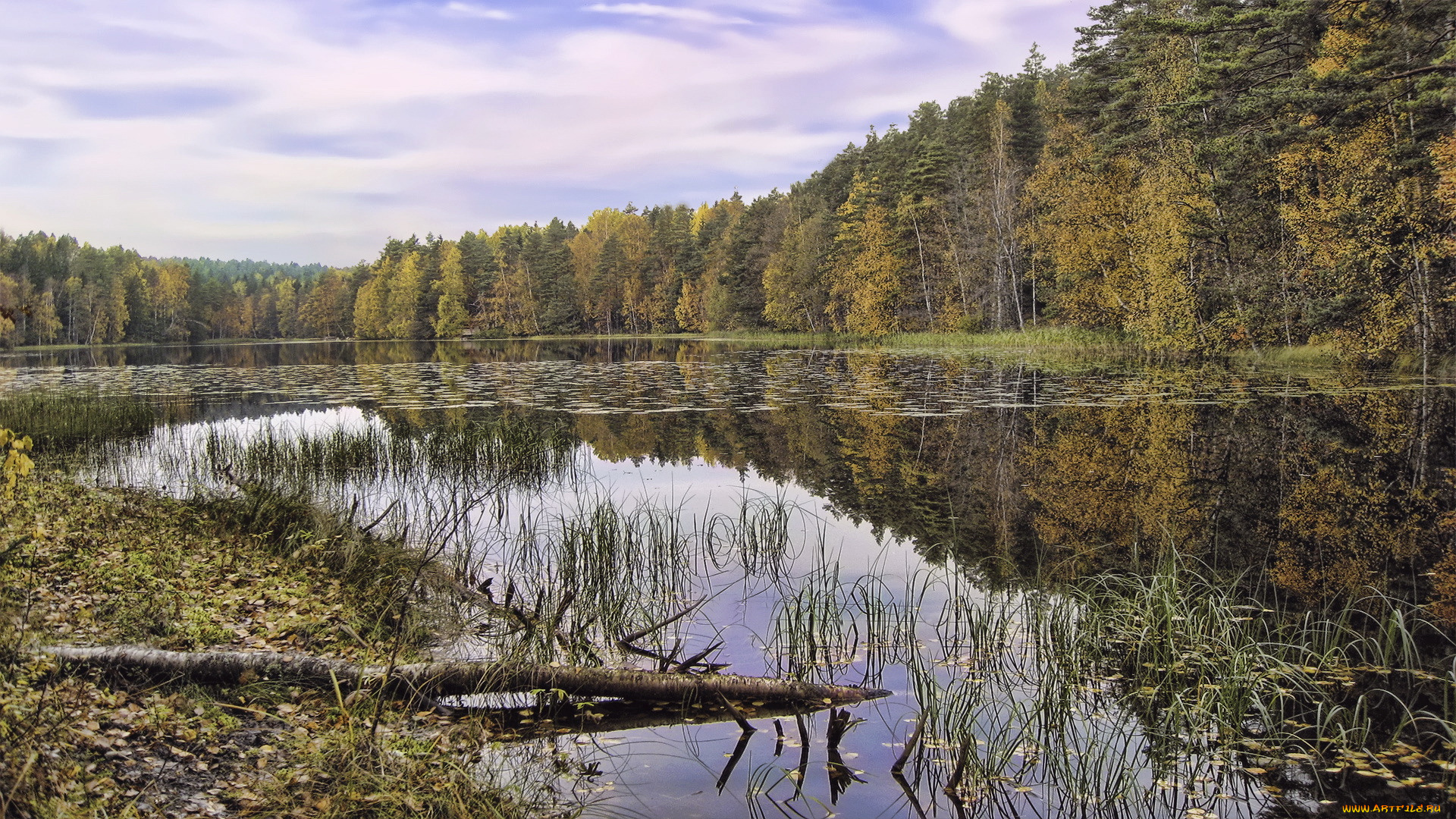 природа, реки, озера, облака, вода, лес