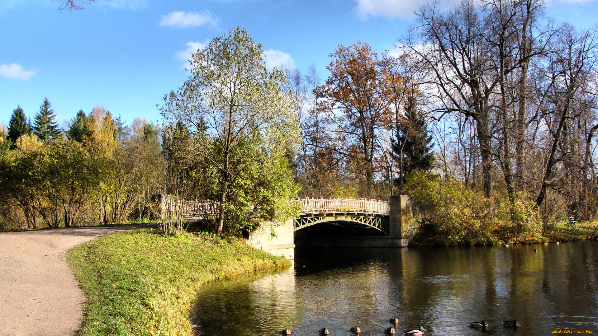 санкт, петербург, павловск, олений, мост, природа, парк, санкт-петербург, река