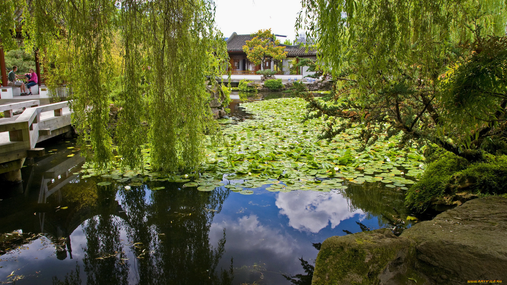sun, yat, sen, park, vancouver, chinatown, канада, природа, парк, ивы, вода, yat-sen