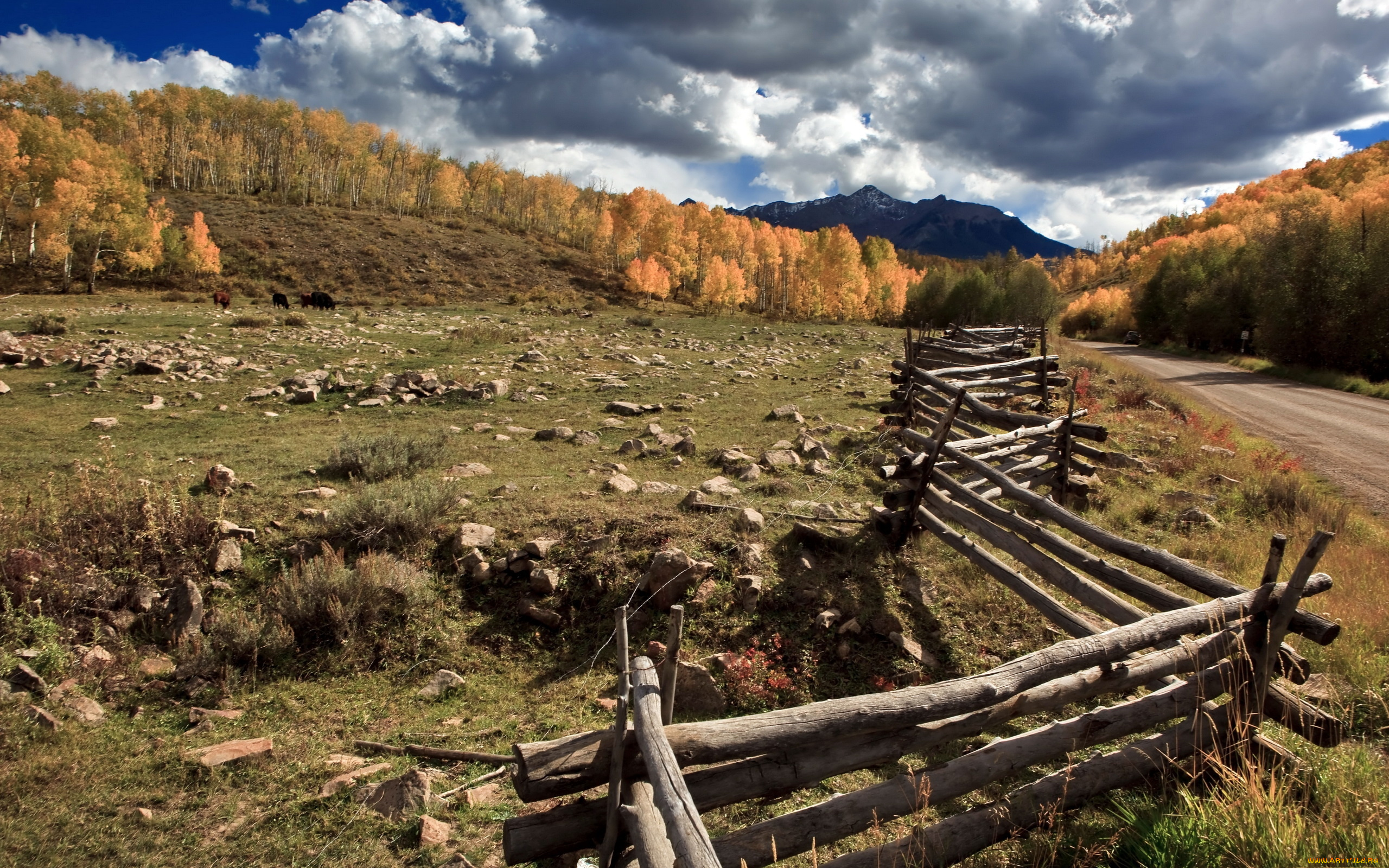 природа, поля, поле, дорога, забор, горы