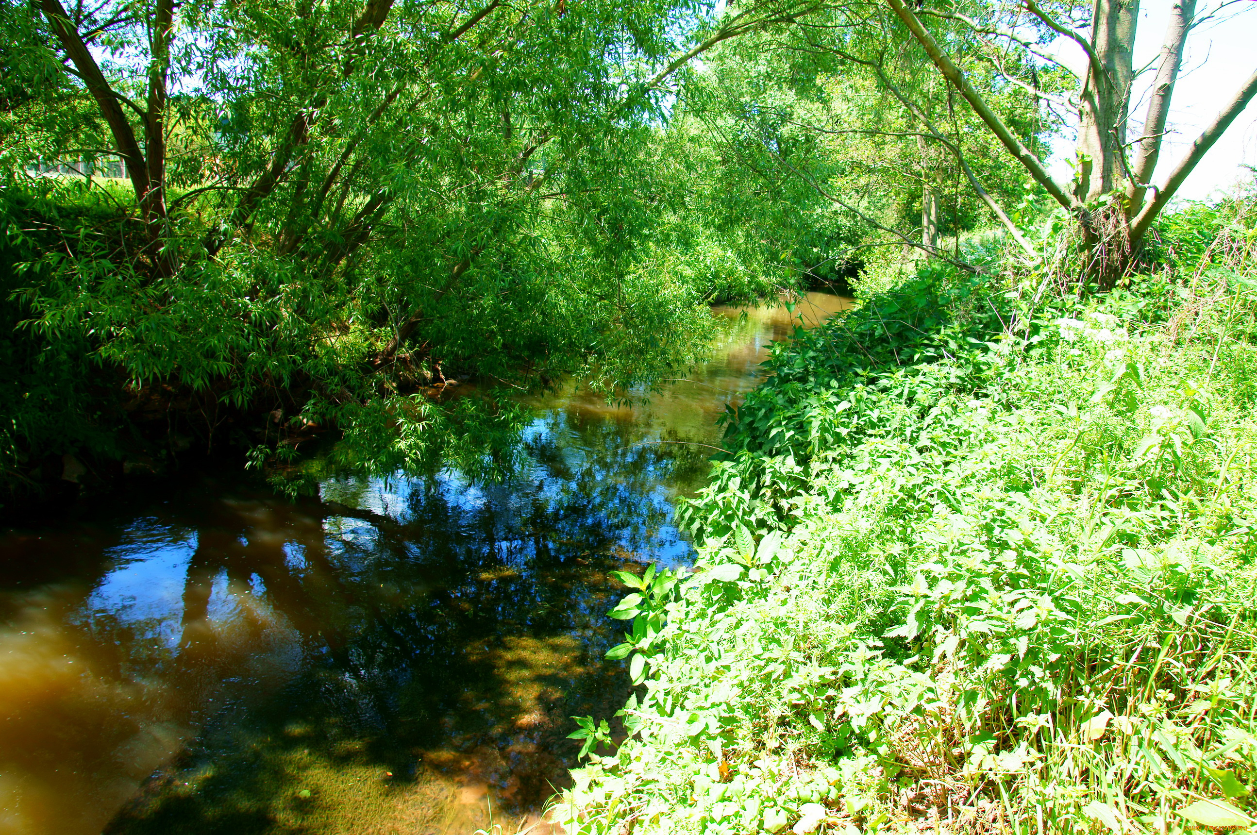 германия, гибольдехаузен, природа, реки, озера, река, берег, кусты