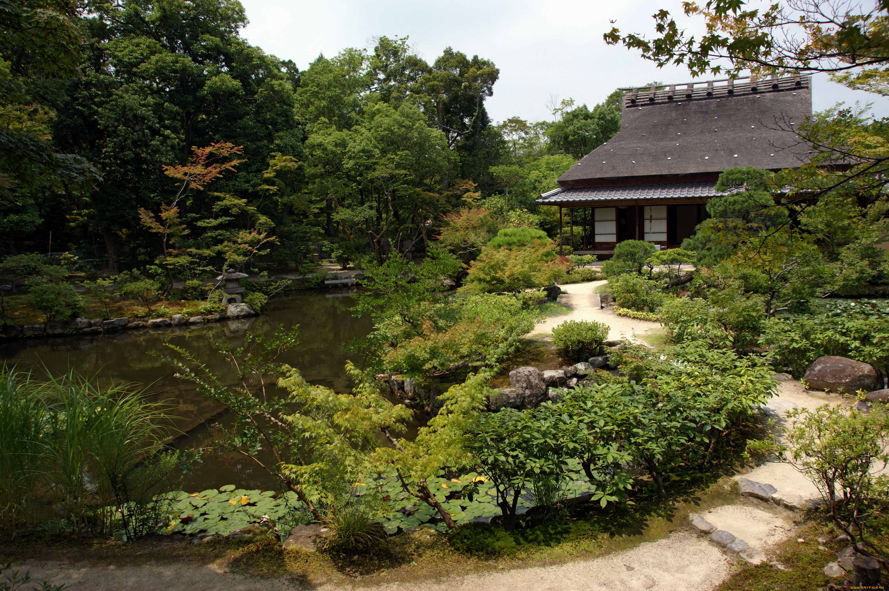 isuien, garden, nara, japan, природа, парк