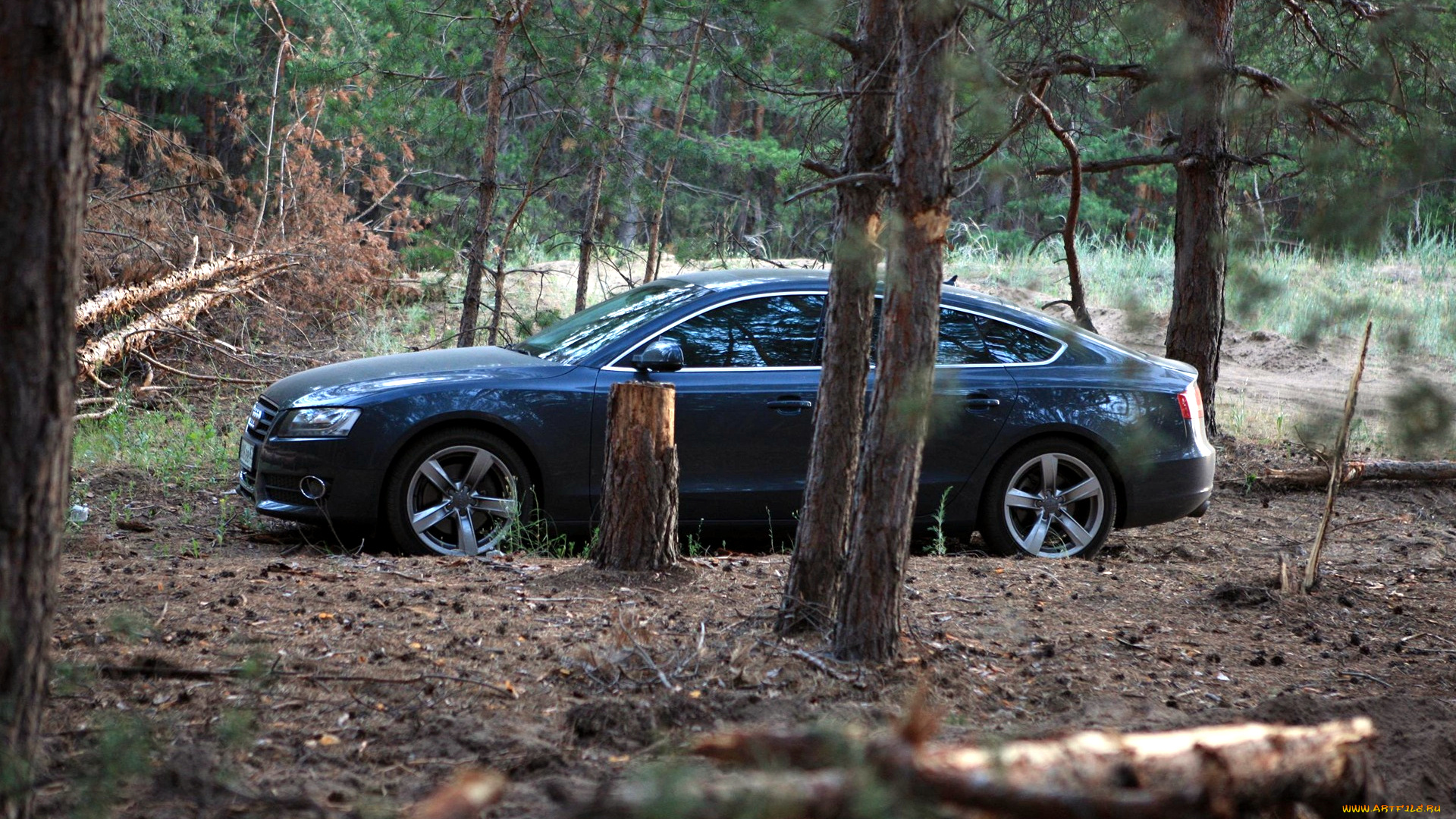 audi, a5, автомобили, германия, volkswagen, group