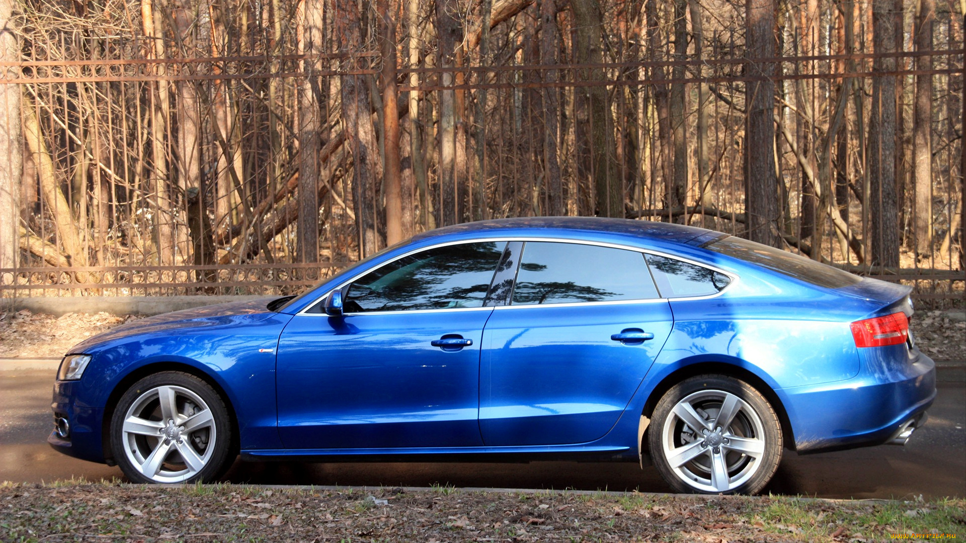 audi, a5, автомобили, volkswagen, group, германия