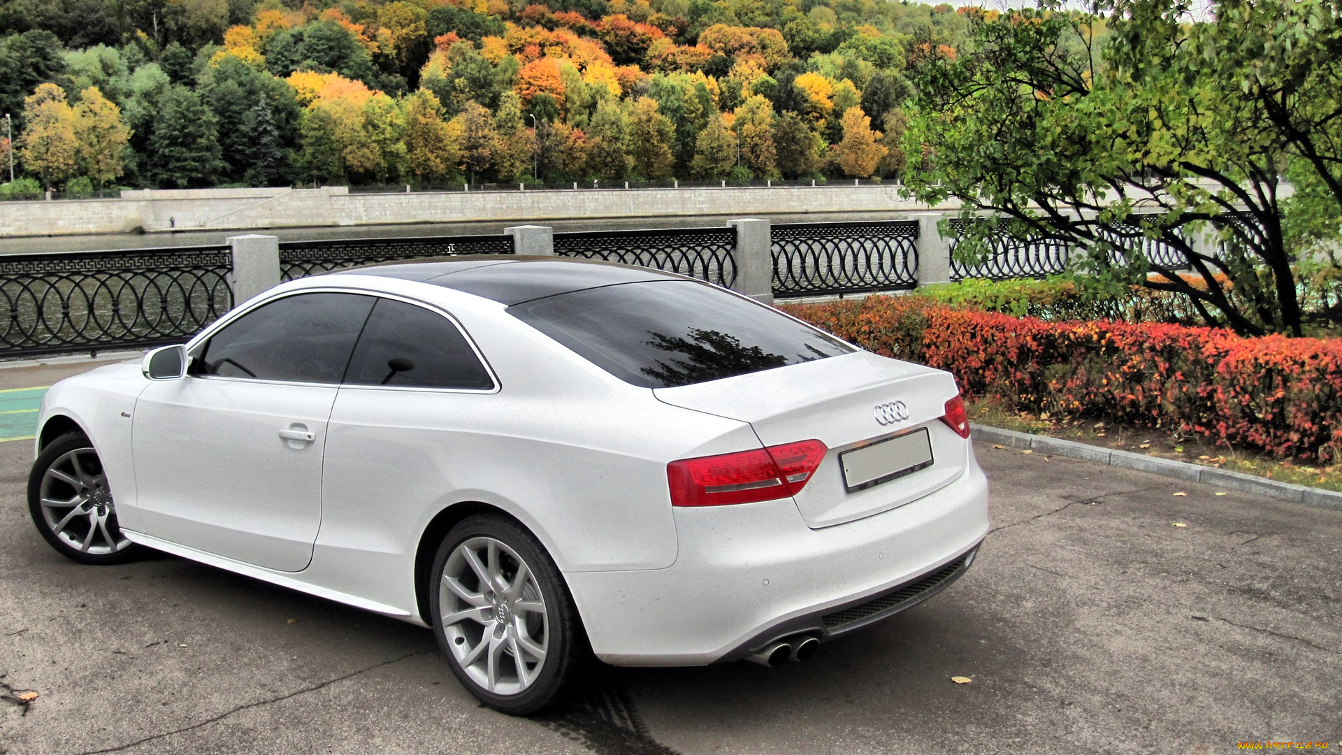 audi, a5, автомобили, volkswagen, group, германия