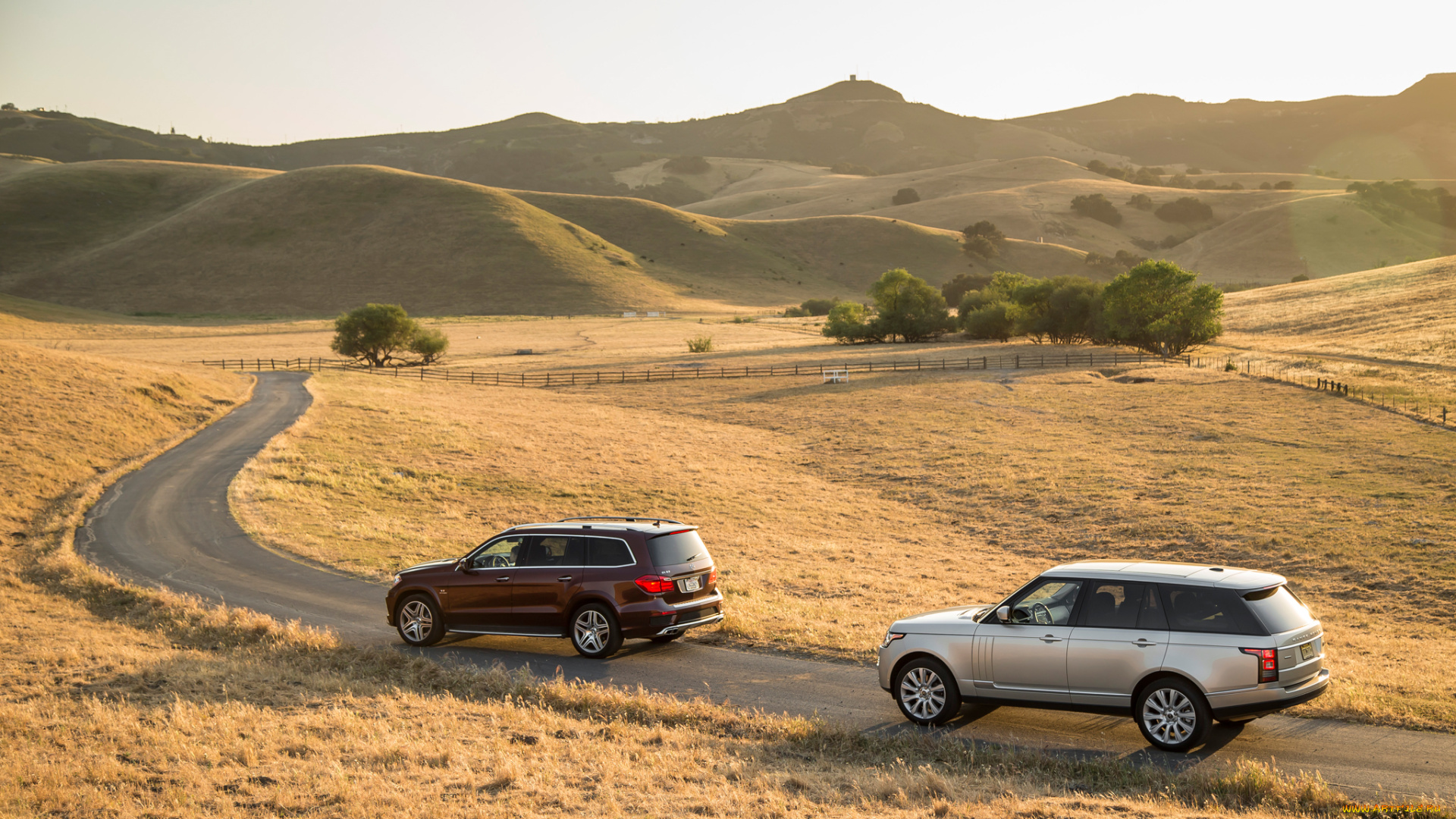 автомобили, разные, вместе, 1