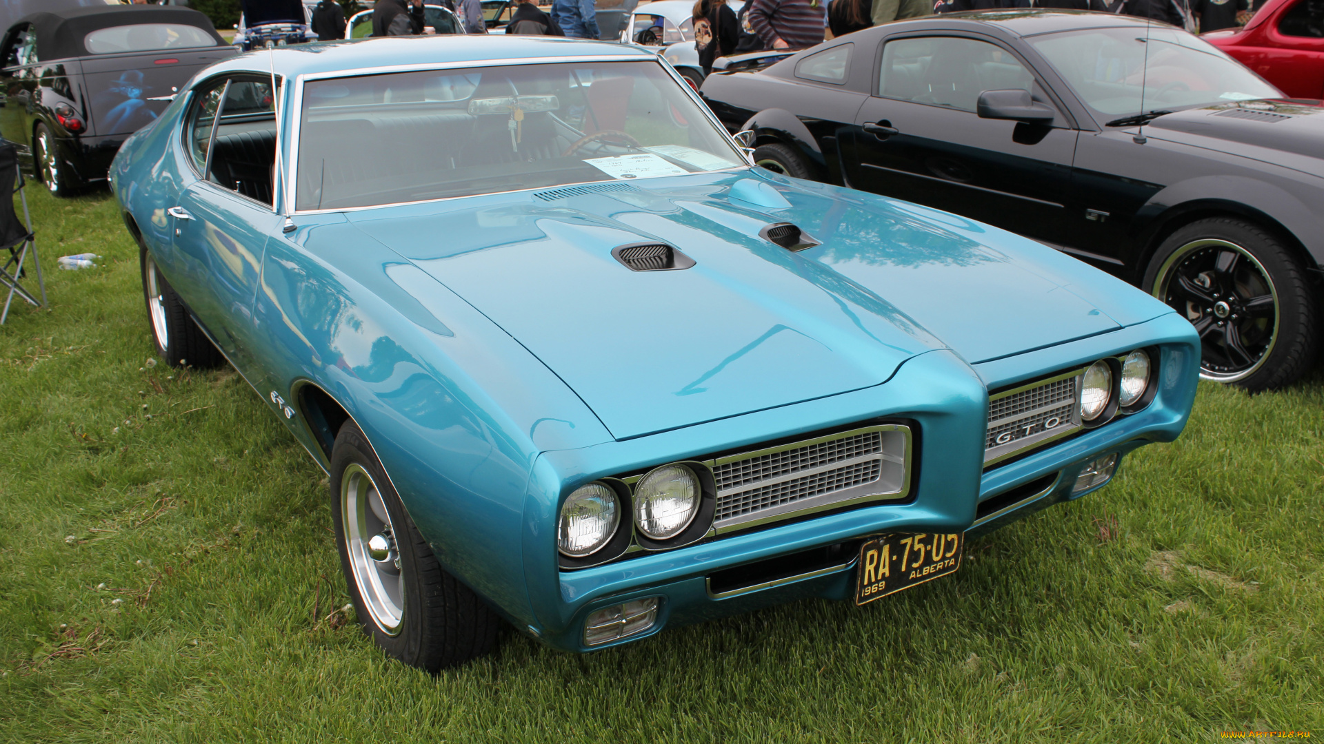 автомобили, выставки, уличные, фото, 1969, pontiac, gto
