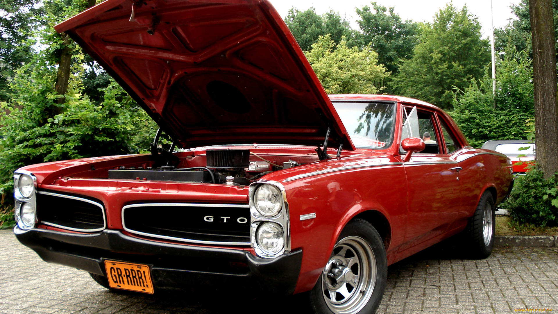 автомобили, выставки, уличные, фото, gto, pontiac