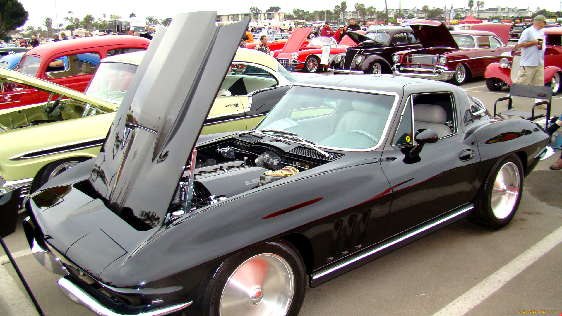 автомобили, выставки, уличные, фото, капот