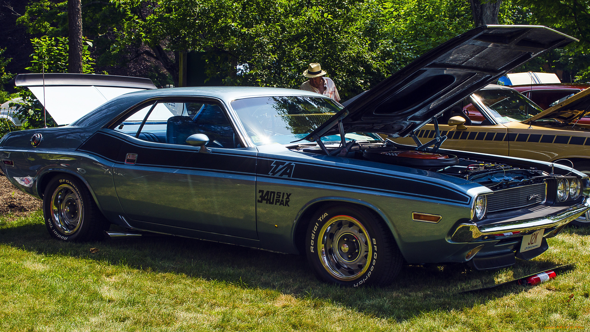 автомобили, выставки, уличные, фото, трава