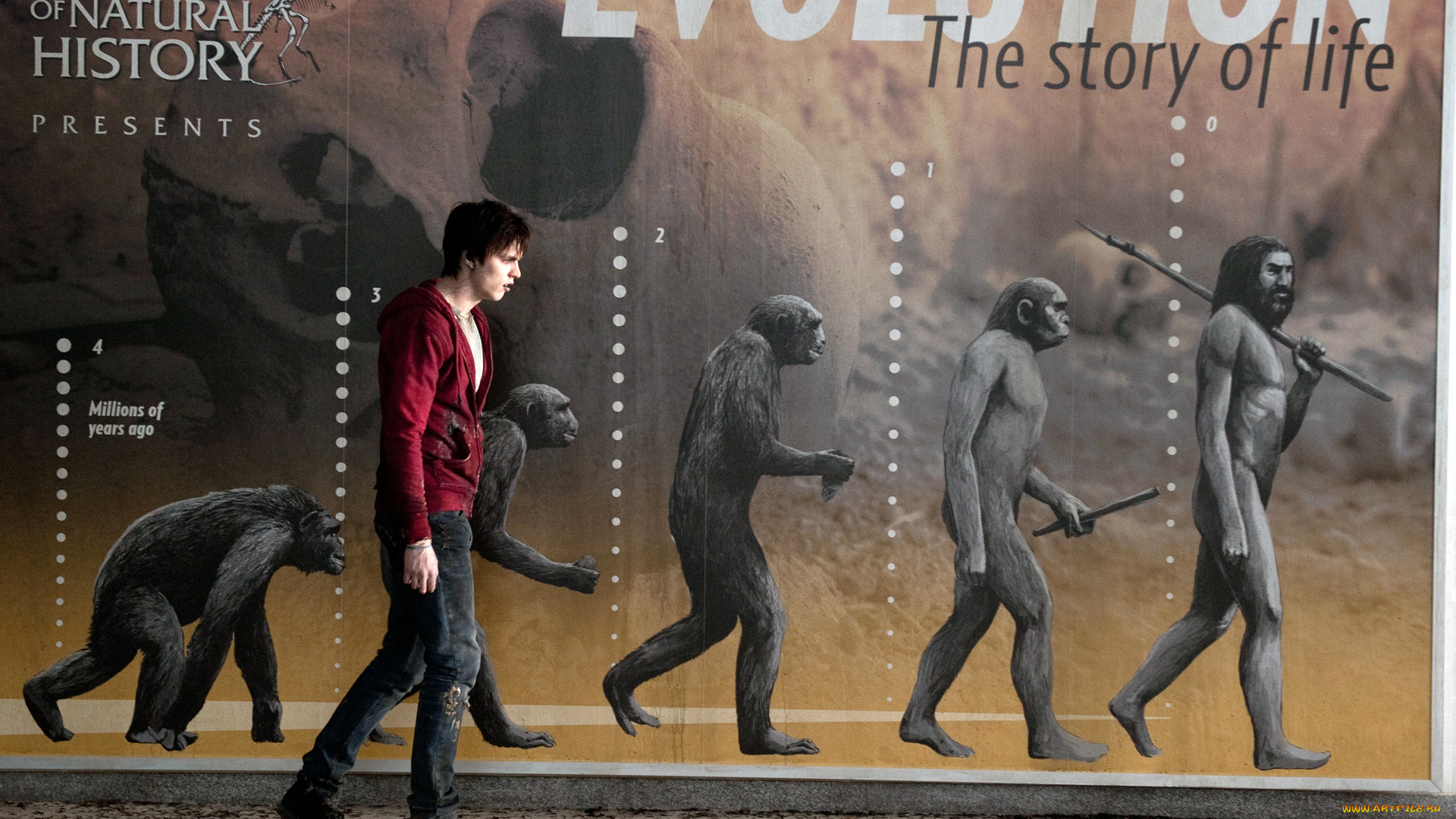 кино, фильмы, warm, bodies