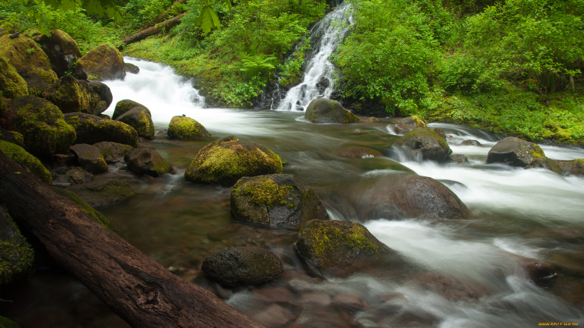 природа, реки, озера, мох, бревно, поток, вода, triple, falls, columbia, river, gorge, oregon