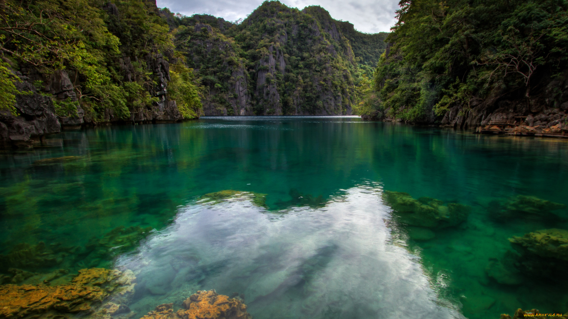 природа, реки, озера, утесы, камни, вода