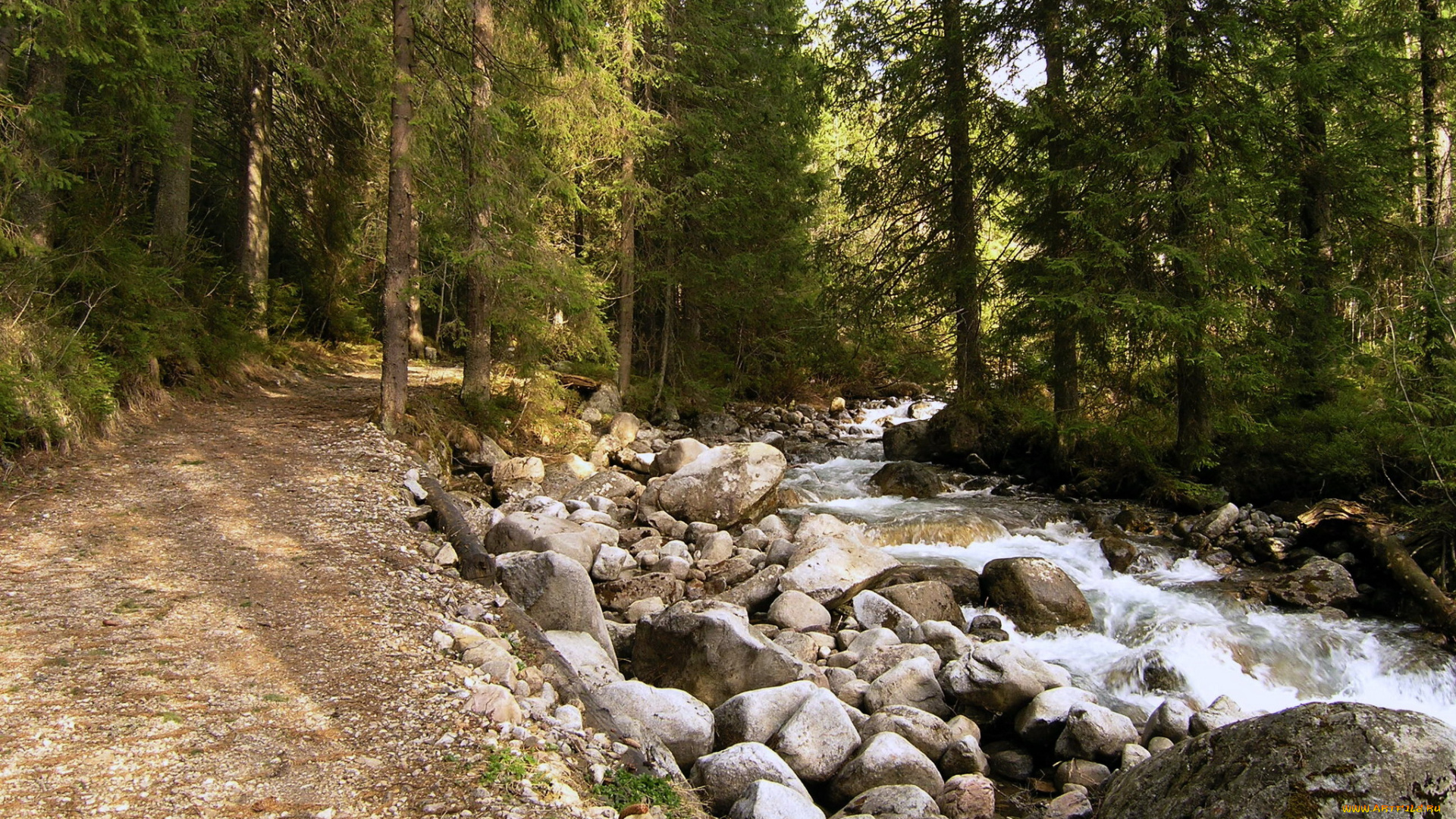 словакия, 381, diar, природа, лес, ручей