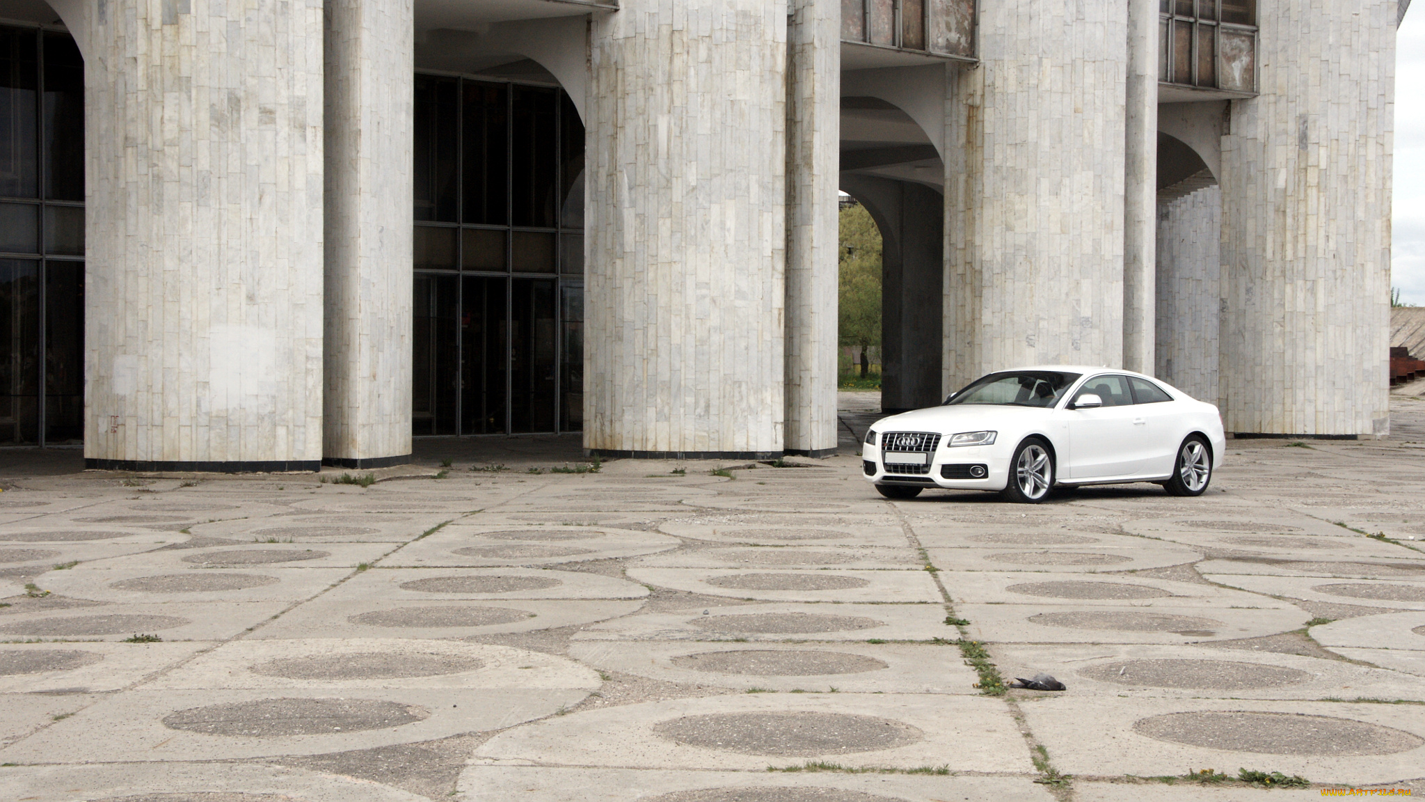 audi, a5, автомобили, германия, volkswagen, group