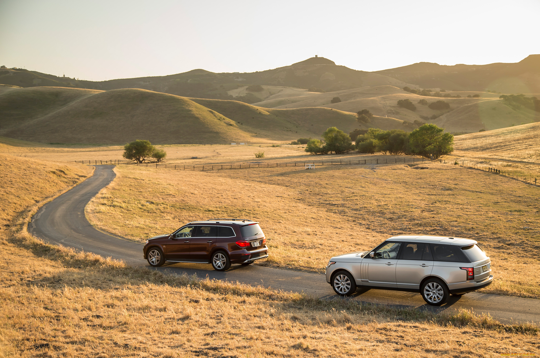 автомобили, разные, вместе, 1