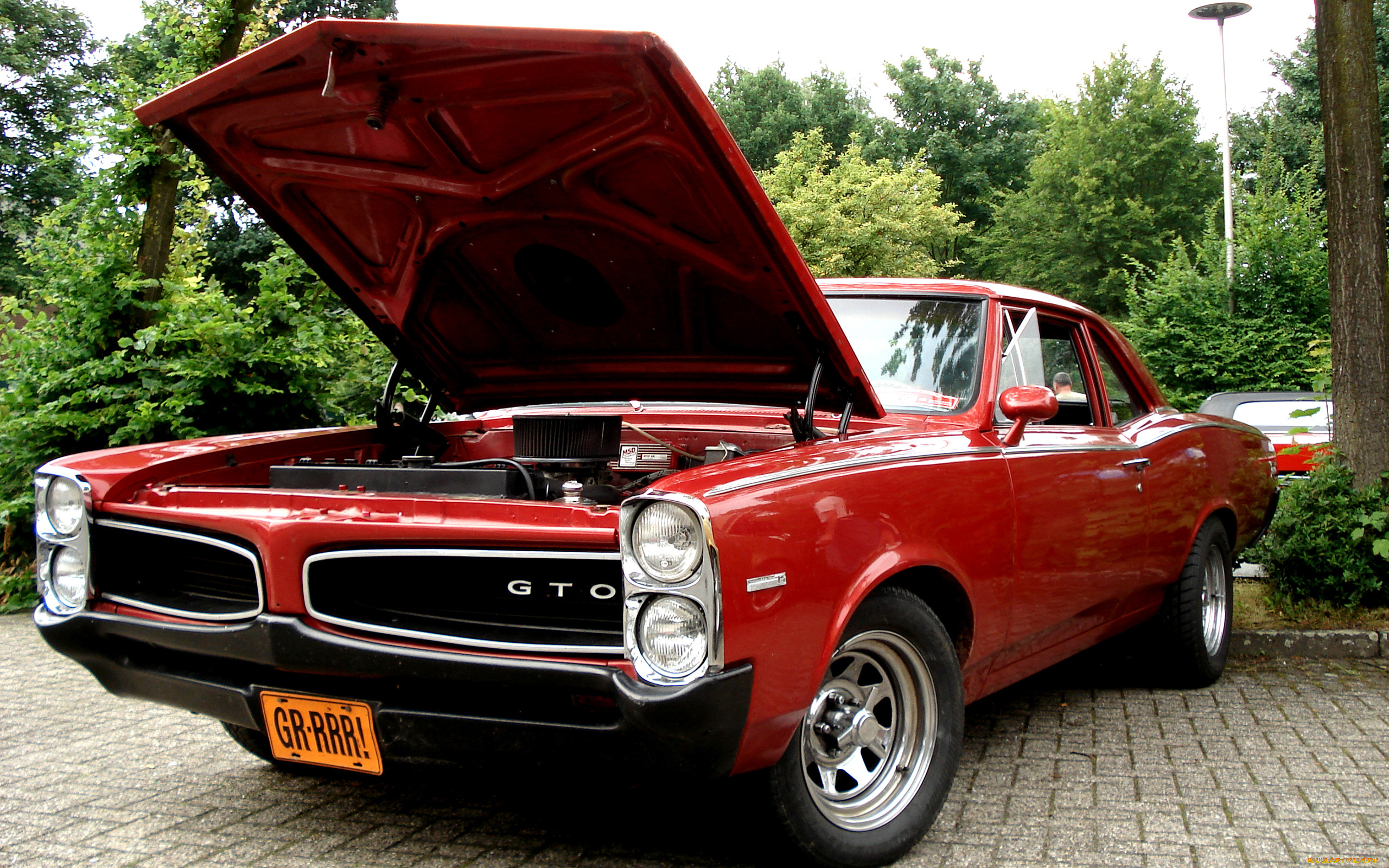 автомобили, выставки, уличные, фото, gto, pontiac