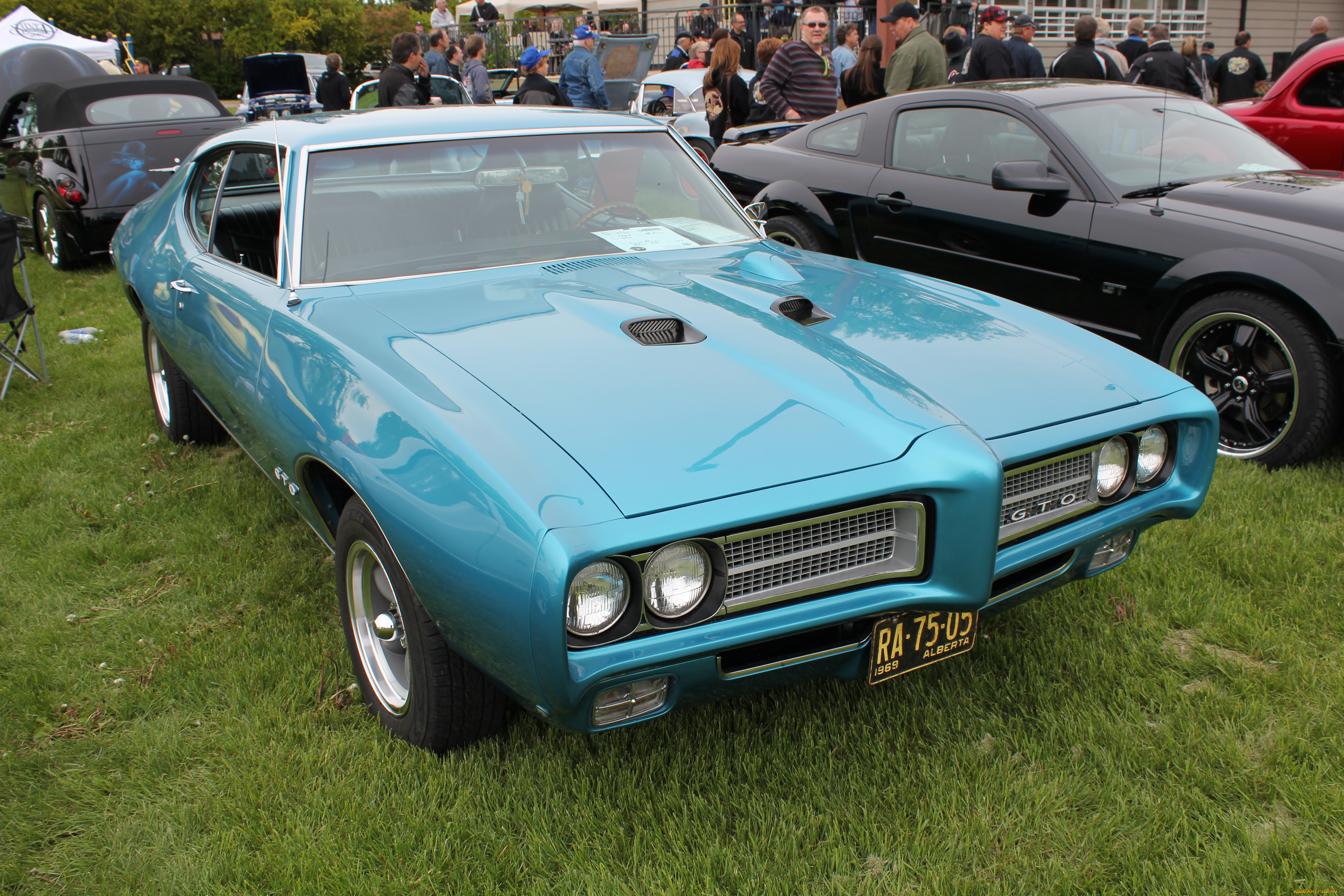 автомобили, выставки, уличные, фото, 1969, pontiac, gto