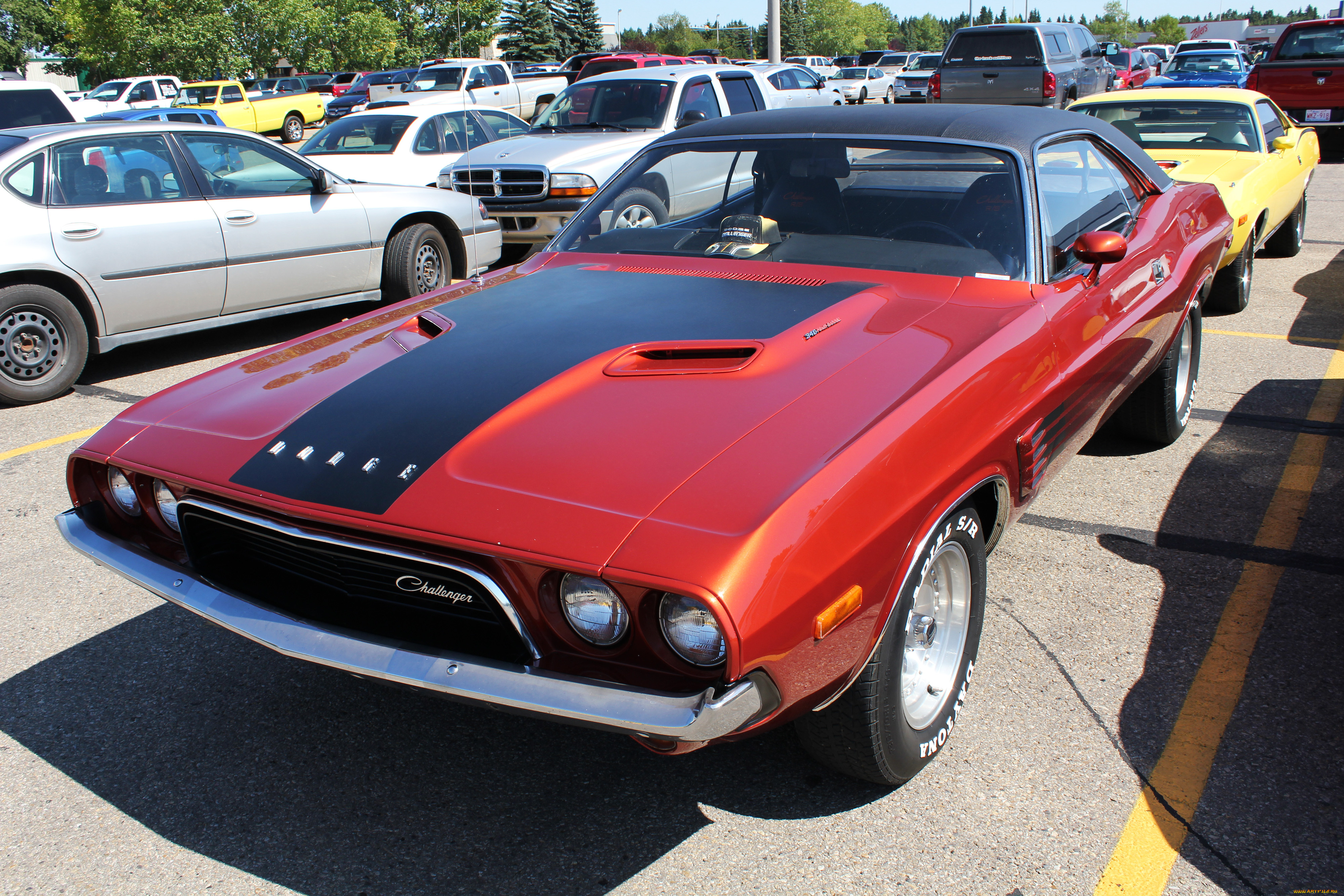 автомобили, выставки, уличные, фото, dodge, challenger