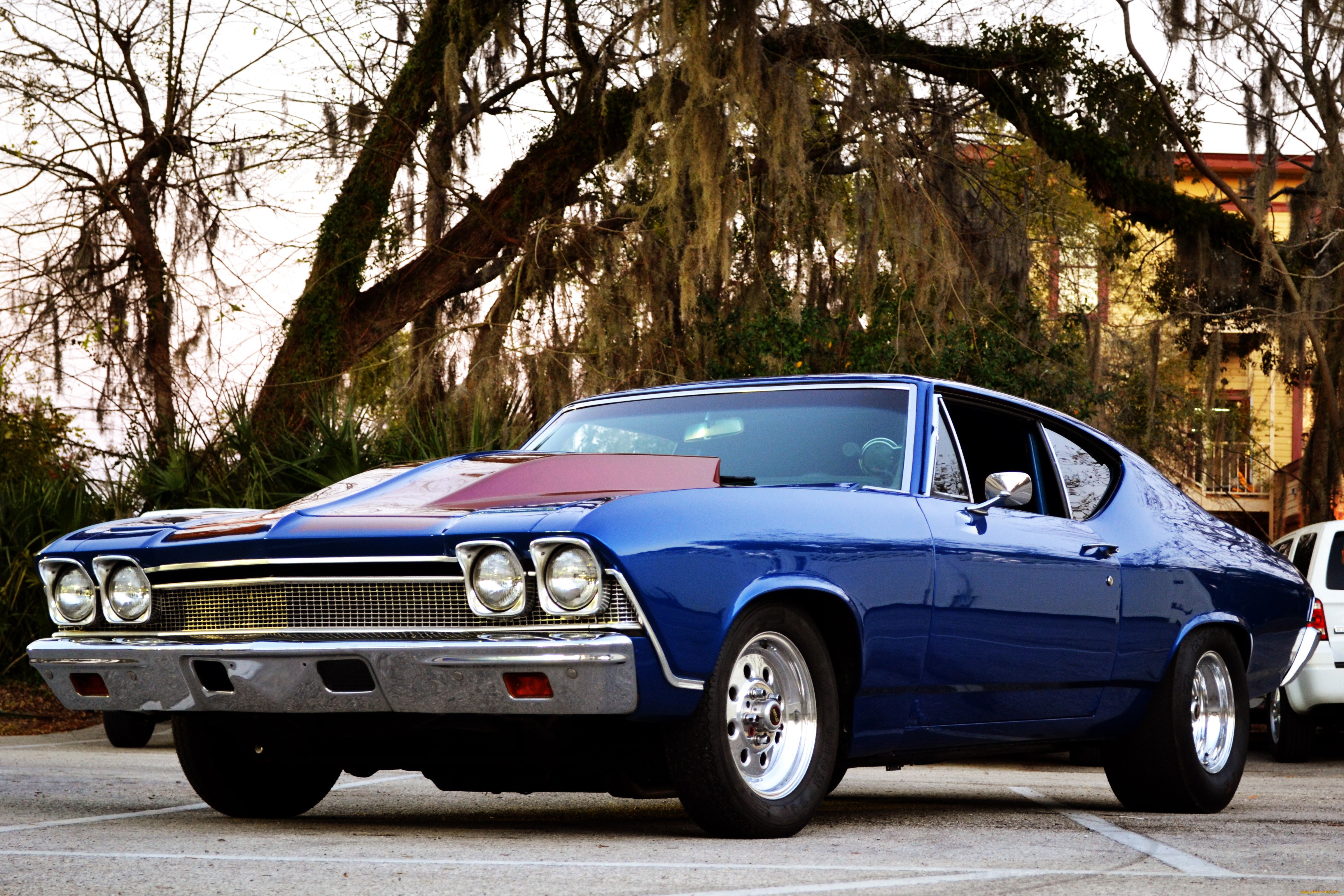 автомобили, выставки, уличные, фото, 1968, chevrolet, chevelle