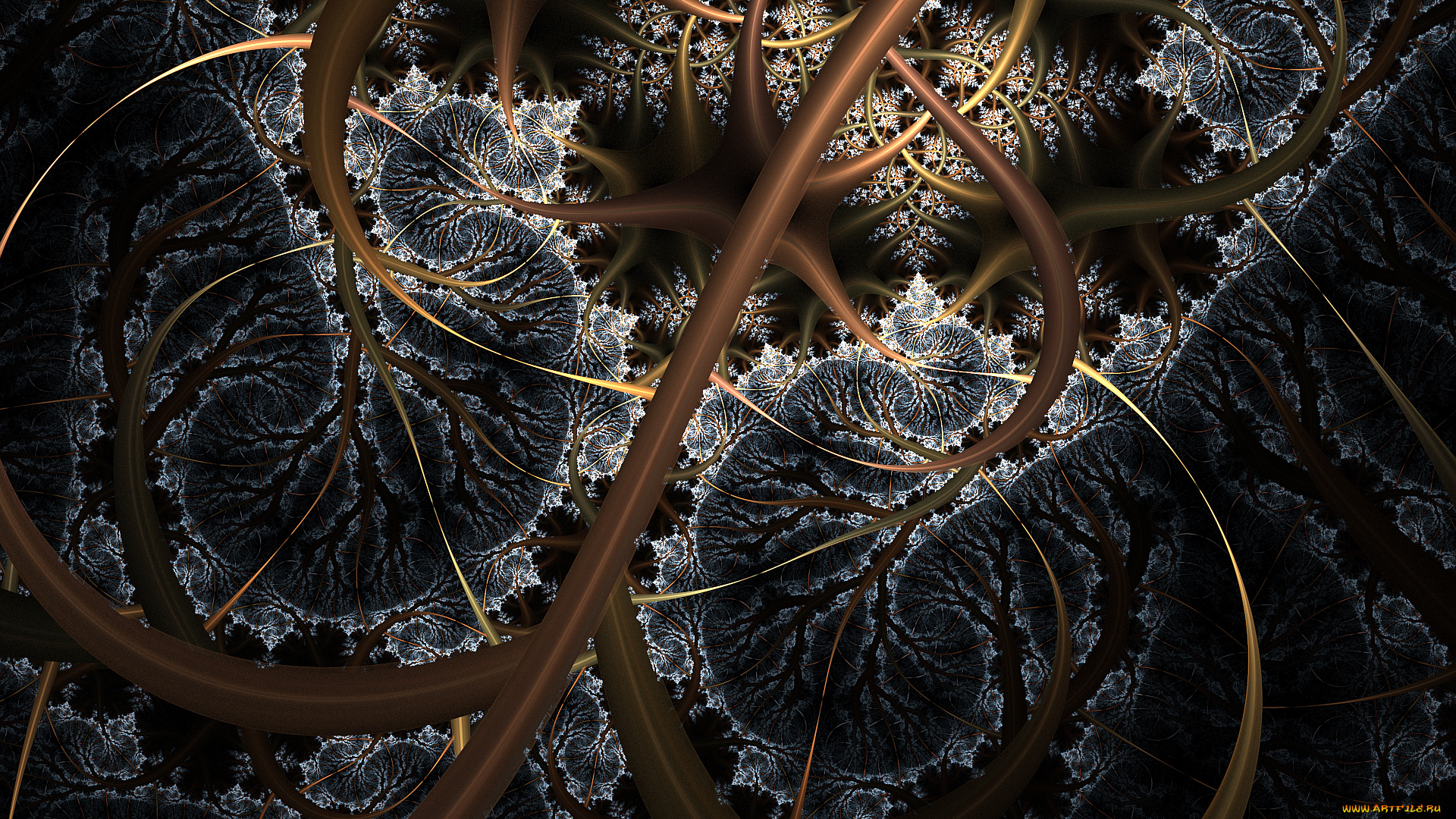 3д, графика, фракталы, , fractal, узор, цвета, фон