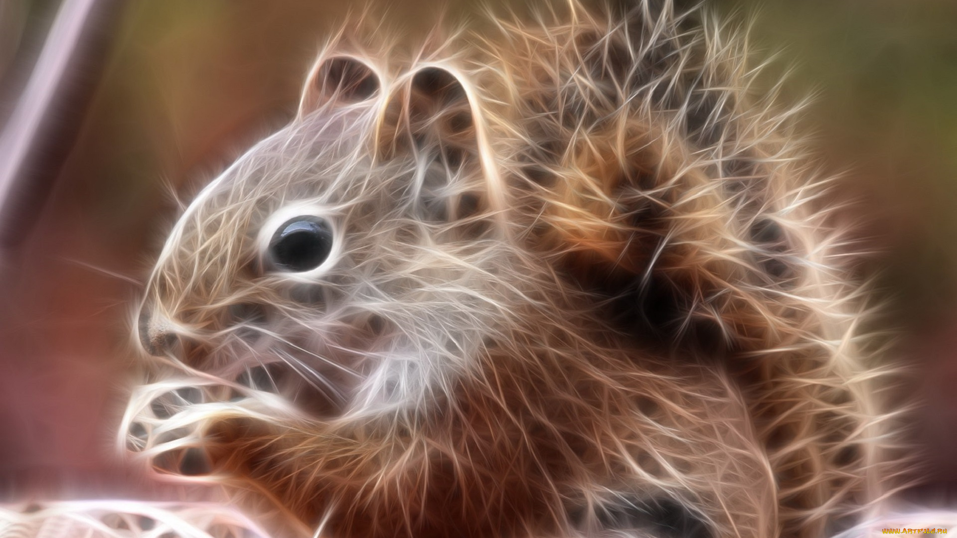 3д, графика, животные, , animals, белка