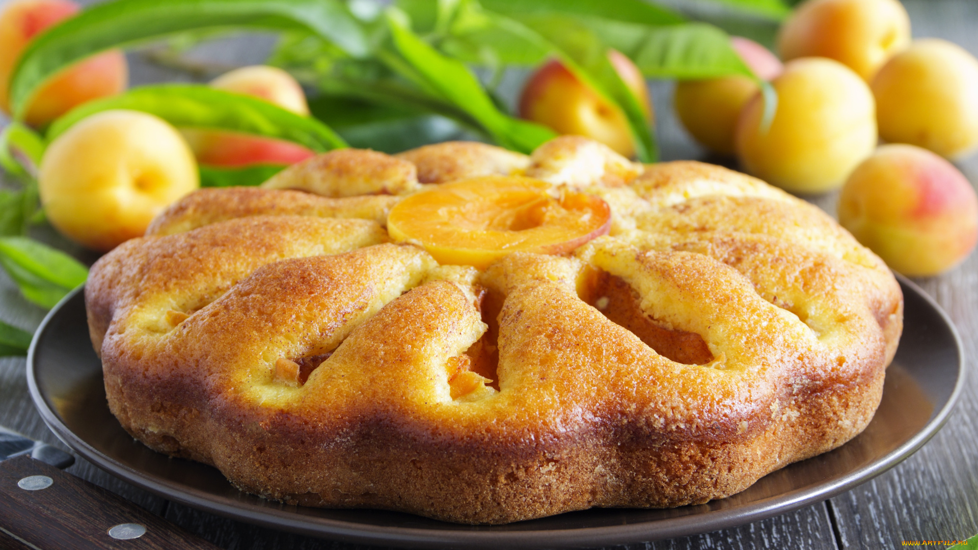еда, пироги, абрикосы