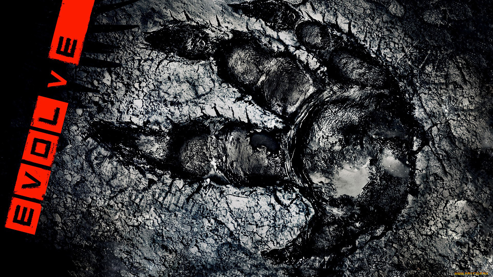 evolve, видео, игры, след, игра, логотип, экшен, шутер