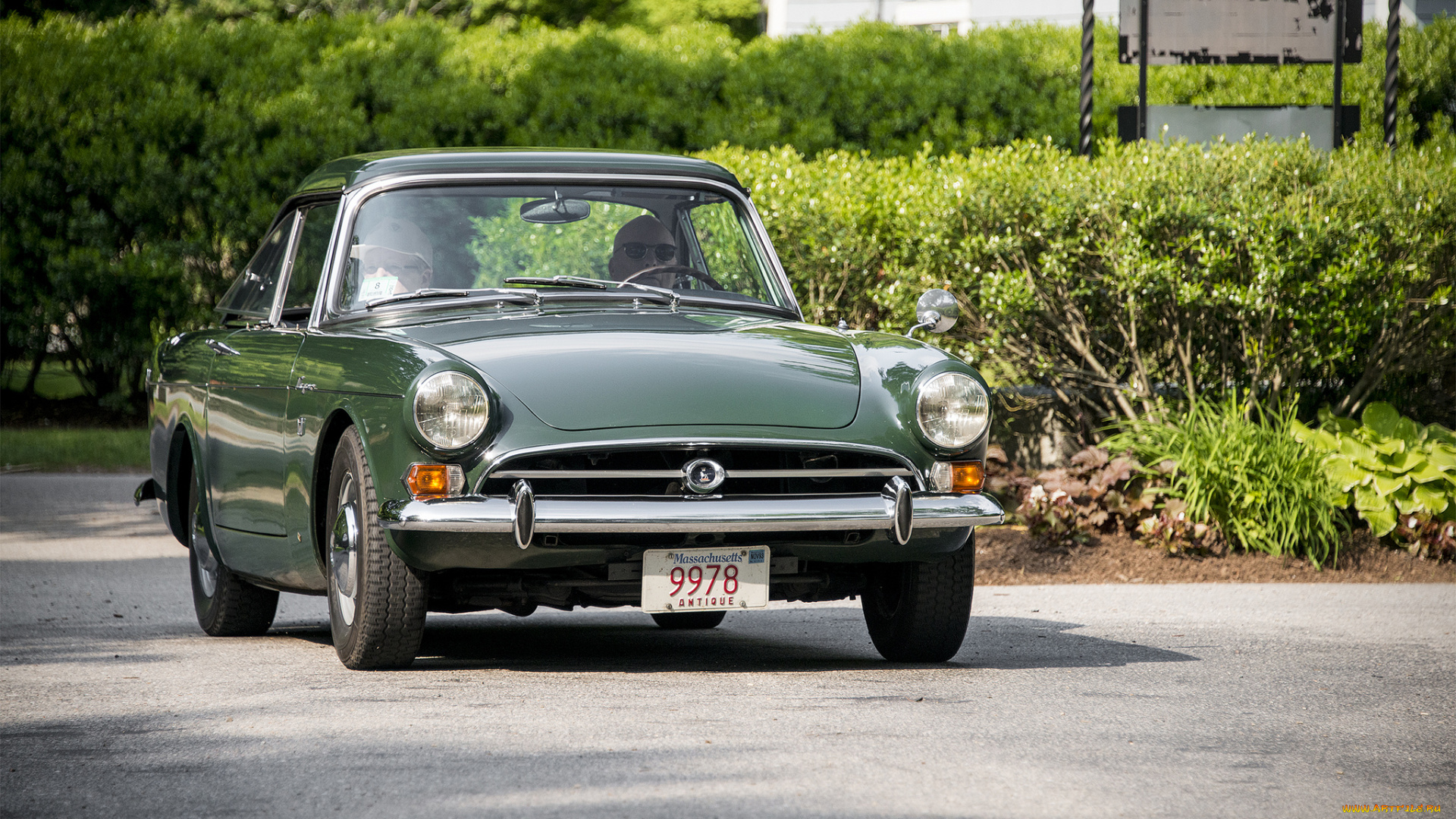 sunbeam, tiger, автомобили, sunbeam, автопробег, выставка, автошоу